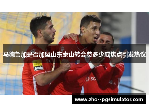 马德鲁加是否加盟山东泰山转会费多少成焦点引发热议
